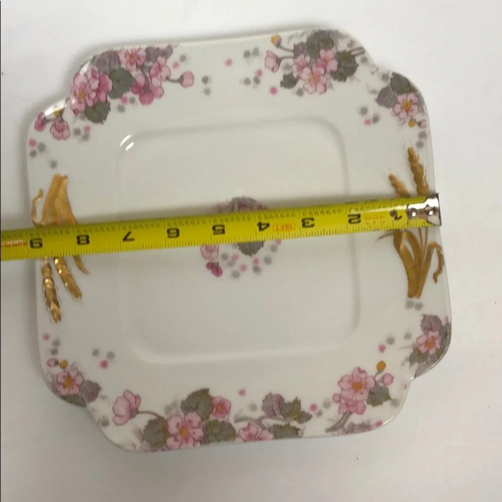 1880's HAVILAND & CO. LIMOGES H&CO DEPOSE